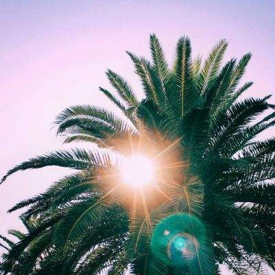 万博(ManBetx)手机app下载截图